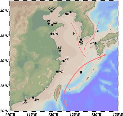 Population structure and genetic diversity in wild dotted gizzard shad (Konosirus punctatus) revealed by microsatellite markers